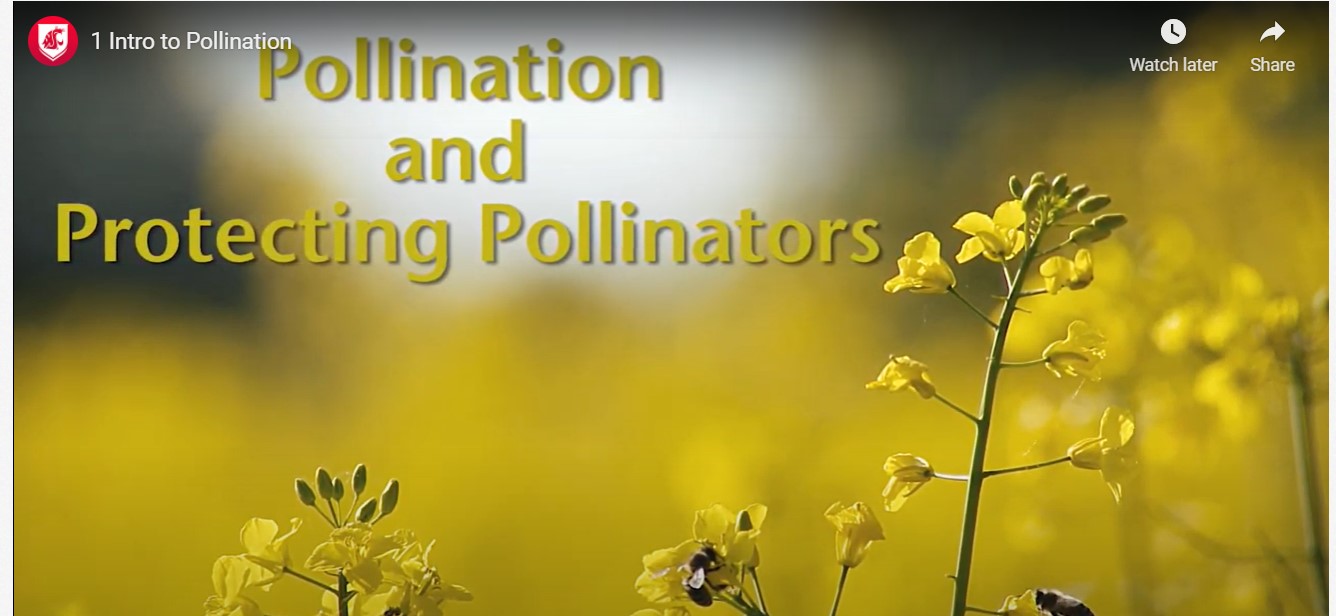 2022 Pollination and Protecting Pollinators